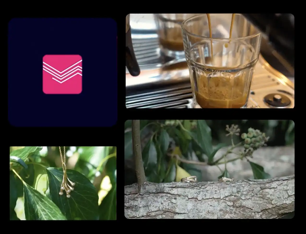 Video & Motion